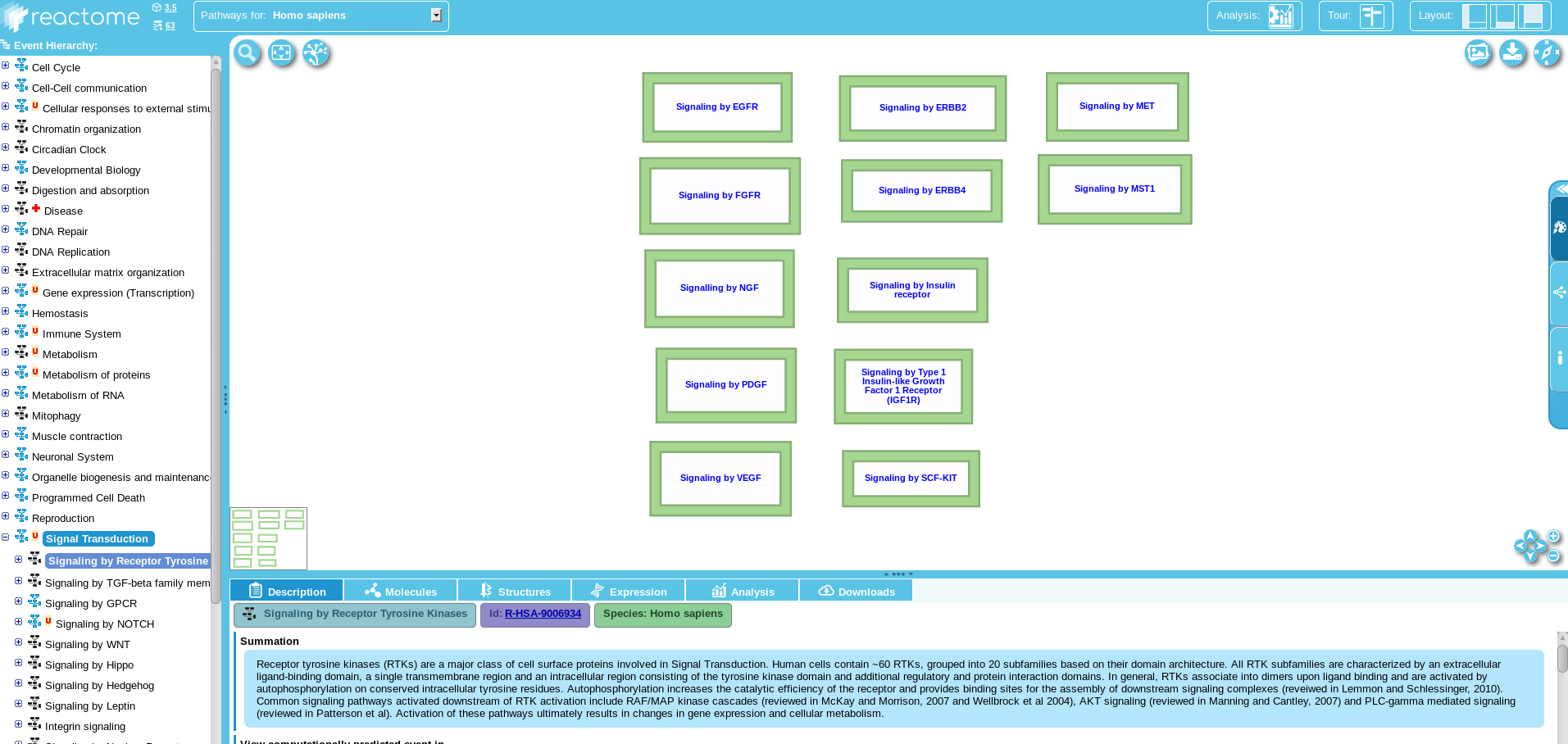 ../../_images/pathway_analysis_reactome.png